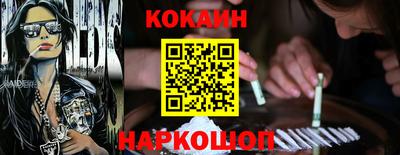 гашик Моздок