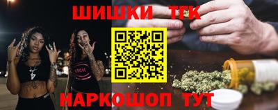 гашик Моздок
