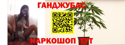 гашик Моздок