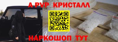 гашик Моздок