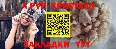 гашик Моздок