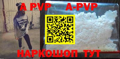 гашик Моздок