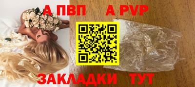 гашик Моздок