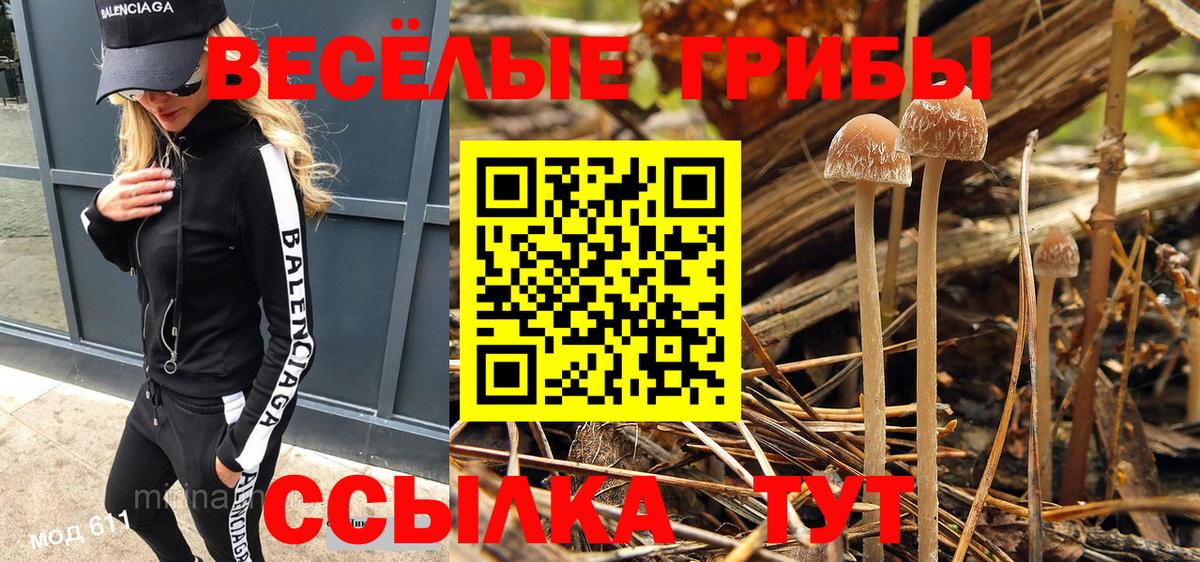 Галлюциногенные грибы Psilocybe Зерноград