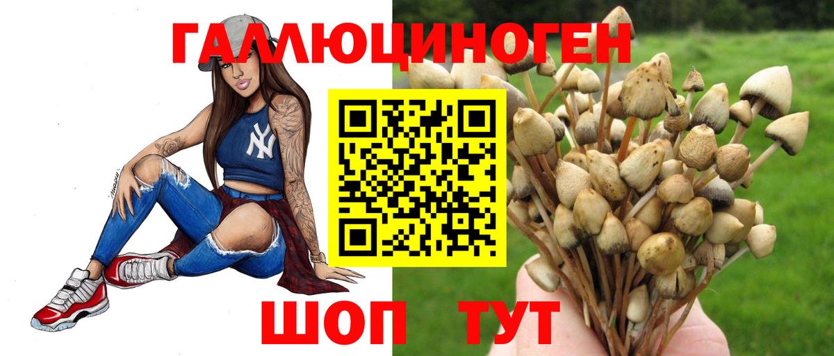 Зерноград  Галлюциногенные грибы прущие грибы  Вход с VPN 